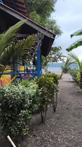 a building with a bunch of plants on the side of it at Iracas del Mar in Termales - agua caliente - nuqui