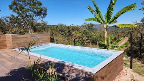 a swimming pool in a backyard with a palm tree at Canto da Coruja - ECOHOSPEDAGEM in Sao Jorge