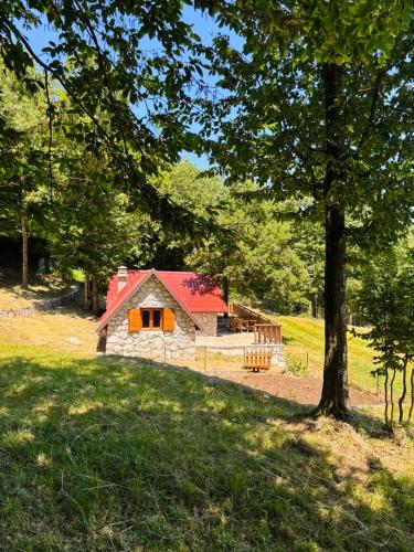 Landskap semula jadi dekat dengan chalet