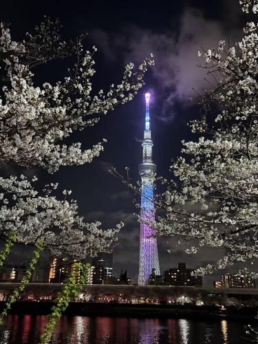 a tower lit up in blue and white at night at Beauty House in Tokyo