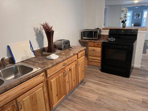 een keuken met een spoelbak en een fornuis bij Finger Lakes Apartment in Hornell