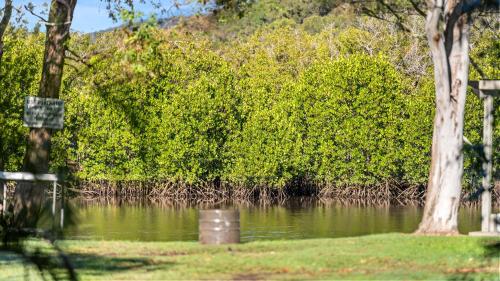 a body of water with trees in the background at Wooli River Lodges in Wooli