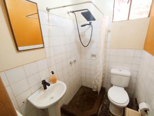 a small bathroom with a toilet and a sink at Residencia en Gourmancia - Estancia & Sabor in Puno