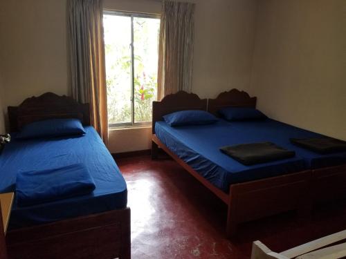 two beds in a room with a window at Knuckles View Holiday Home in Etagama