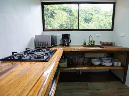 a kitchen with a stove and a counter top at VILLA SANTA LUCÍA in front of the waterfall with a mountain view in Ceibo
