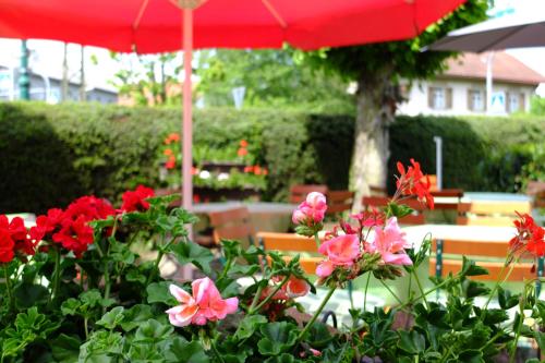 a garden with red flowers and a red umbrella at Hotel Löwen in Kirchzarten