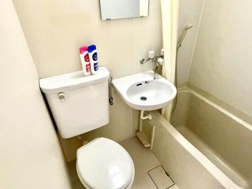 a small bathroom with a toilet and a sink at Shinjuku West Chuo Park Ss House in Tokyo