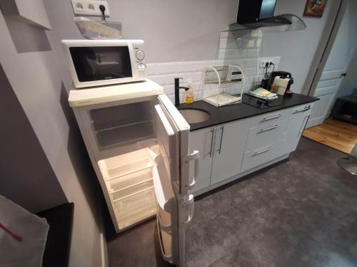 Il comprend une cuisine équipée d'un four micro-ondes et d'un réfrigérateur. dans l'établissement Studio Calme avec Jardin, Tram T6 et Métro D, Lyon 8, à Lyon