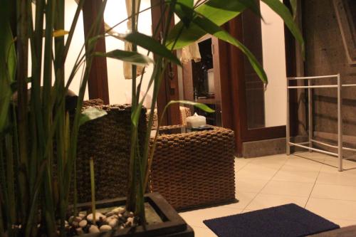 a potted plant in a room with two baskets at Letos Kubu Homestay in Kuta