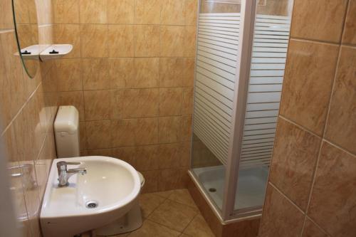 uma pequena casa de banho com um lavatório e um chuveiro em Xénia Apartmanok em Hajdúszoboszló