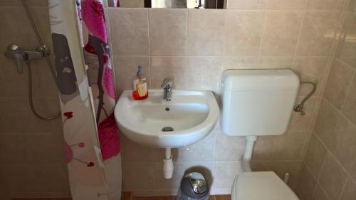 a small bathroom with a sink and a toilet at Beppe Vendégház in Abaliget