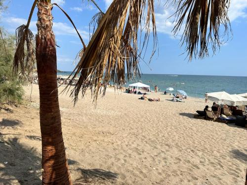 a beach with a palm tree and people on the beach at Blue Panorama Crystal in Mákri