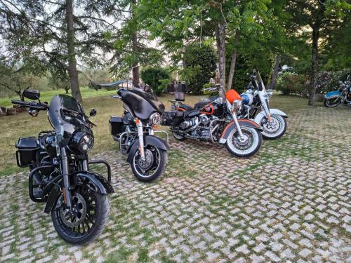 a group of motorcycles parked in a field at Casale Fusco in Spoleto