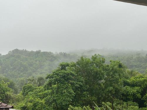 a view of a forest of trees in the rain at Diva Gomes Guest House in Nuvem