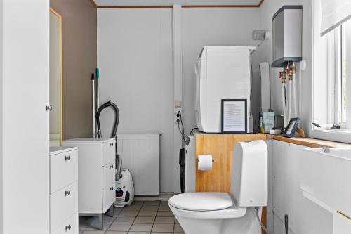 a bathroom with a toilet and a sink at Cozy house by the river Ytri Rangá in Hella