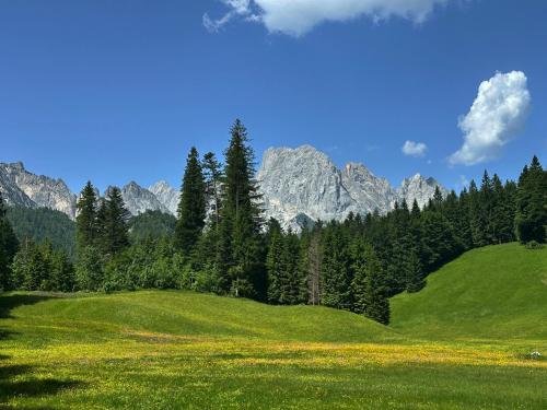 a green field with trees and mountains in the background at Klamm Lodge in Weissbach bei Lofer