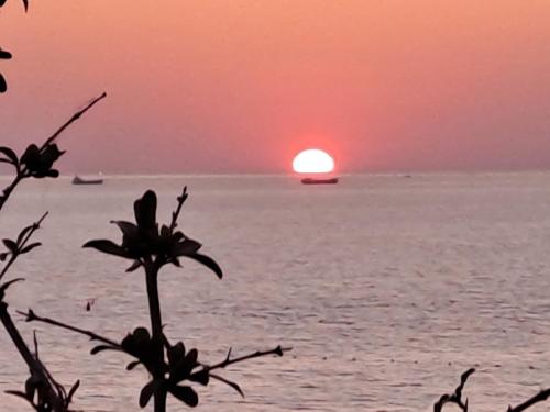 Paradise Rooftop Golem