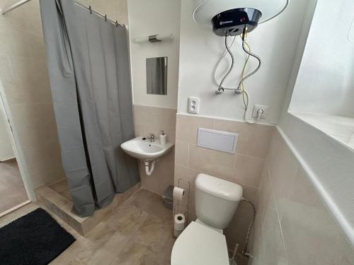 a bathroom with a toilet and a shower and a sink at Škodova Apartments in Přerov