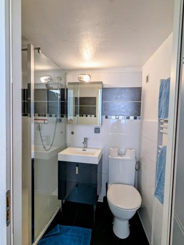 une salle de bain avec toilettes, lavabo et douche dans l'établissement Escapade cœur de ville Narbonne, à Narbonne