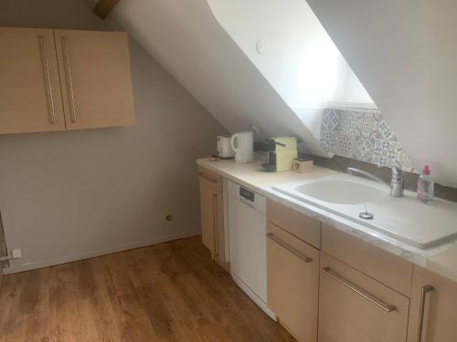 an attic kitchen with a sink and a window at Le Saint Georges in Fauverney