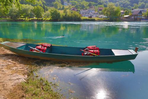 a blue boat sitting on the shore of a lake at Holiday Homes Mujo Bejzin in Račić