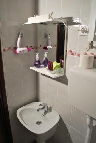 Ένα μπάνιο στο Apartmani "Vila Jelena" Arandjelovac