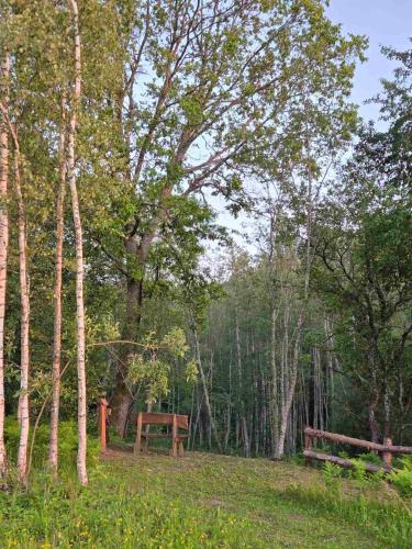 a picnic table and bench in a field with trees at Terra Gratia - namukas Natūralistas in Nemeikšiai