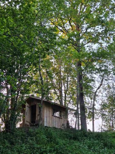 an old house sitting on top of a hill with trees at Terra Gratia - namukas Natūralistas in Nemeikšiai