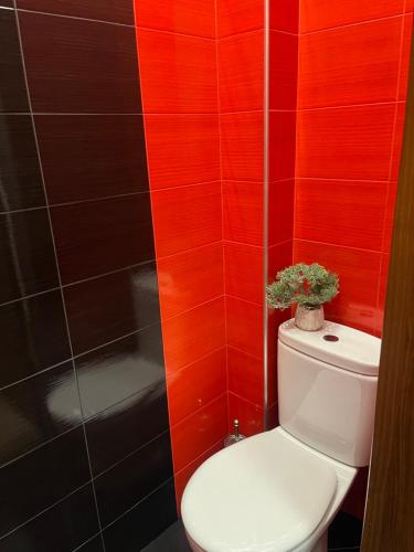 Kupatilo u objektu Dunav 11