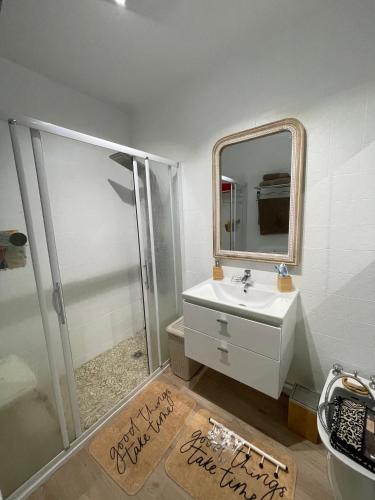 une salle de bain avec une douche, un lavabo et un miroir dans l'établissement Le Cosy Corse, à Vico