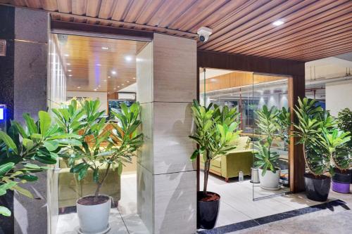 a lobby with a bunch of potted plants at Hotel Sayba International in Pune