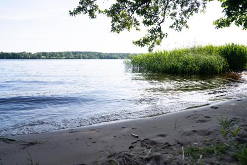 a view of a body of water with trees and grass at Dore in Lielvārde