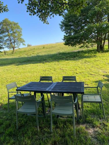 a picnic table with four chairs in a field at Dom nad Buwełnem in Marcinowa Wola