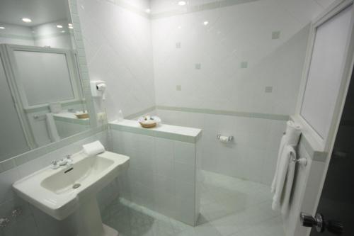 a white bathroom with a sink and a mirror at Hotel Leon in León