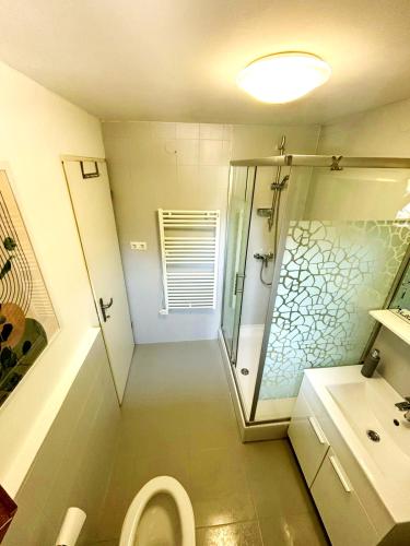 a bathroom with a shower and a toilet and a sink at Holiday Home Bella Vita in Gornji Mihaljevec