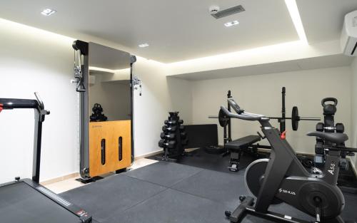 a gym with treadmills and cardio equipment in a room at Aeolian Spirit Suites in Athens