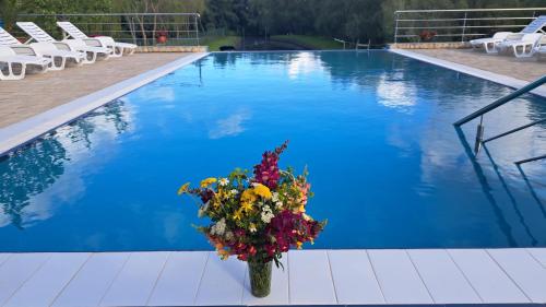 a vase of flowers sitting next to a swimming pool at Valahia in Dunavăţu de Jos