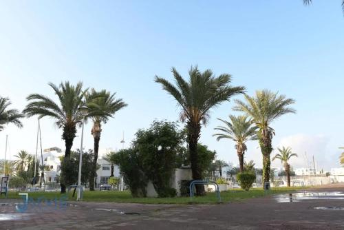 a group of palm trees in a parking lot at Marina Yasmine Hammamet Luxury residence in Yasmine
