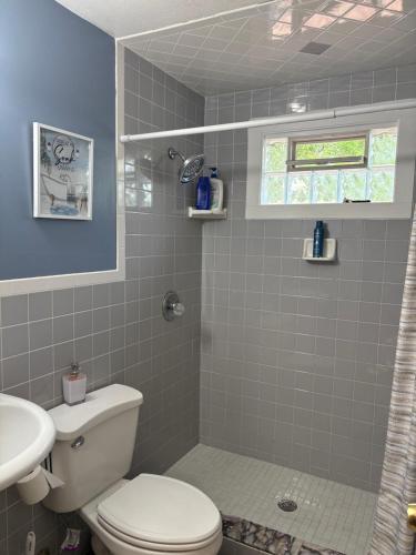 シラキュースにある105 Robert Driveのトイレと洗面台付きのバスルーム