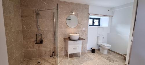 une salle de bain avec douche et toilettes dans l'établissement La Métairie du Château, Elie, à Aussillon