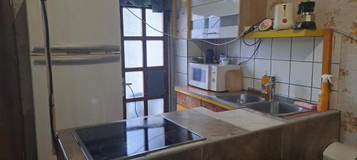 a kitchen with a sink and a microwave at Sárkány Lak in Diósd