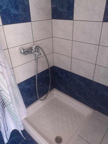 a shower in a bathroom with blue and white tiles at Mandal Cottage in Samothraki