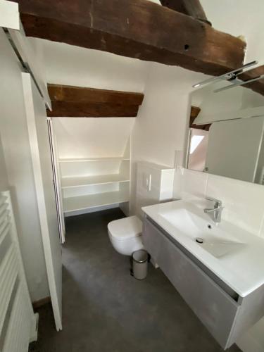 une salle de bain blanche avec des toilettes et un lavabo dans l'établissement Appartement coeur de Beaune, à Beaune