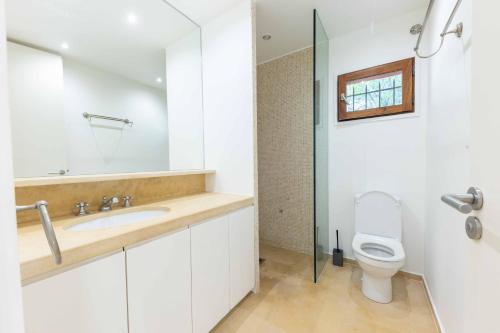 a bathroom with a toilet and a sink and a mirror at Villa Les Chants Vallonnés in Spéracèdes