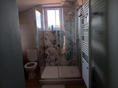 une salle de bain avec douche et toilettes dans l'établissement Gite typique 6 personnes, à Saint-Yvoine