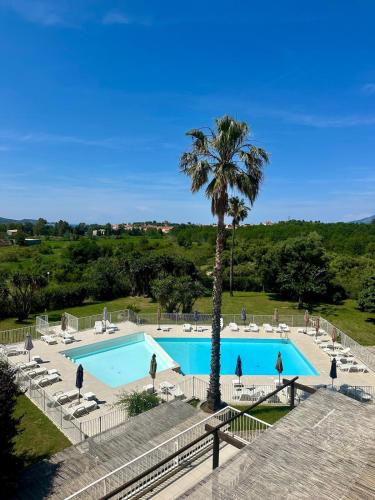 une piscine avec un palmier et des gens debout autour dans l'établissement Cosy studio ensoleillé à Saint-Florent, à Saint-Florent