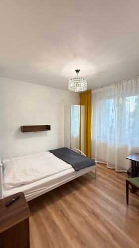 a bedroom with a large bed and a chandelier at Pokoje Goscinne SALOMEA in Karwia