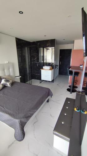 une chambre avec un lit et un bureau dans une pièce dans l'établissement Studio Naturiste Vue Mer New, au Cap d'Agde