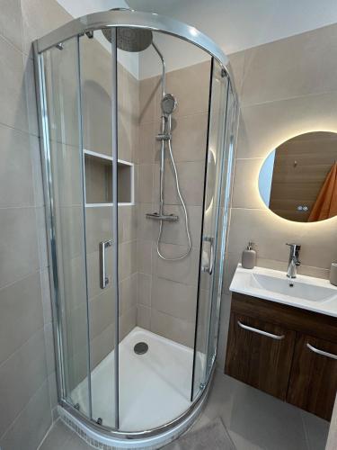 une salle de bain avec douche et lavabo dans l'établissement Central studio and sun terrace, à Nice