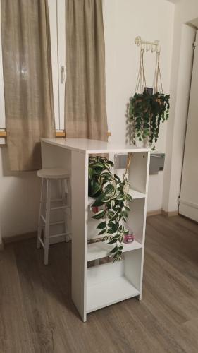 a white desk with a plant in a room at Fiori di Loto Home in Iesi